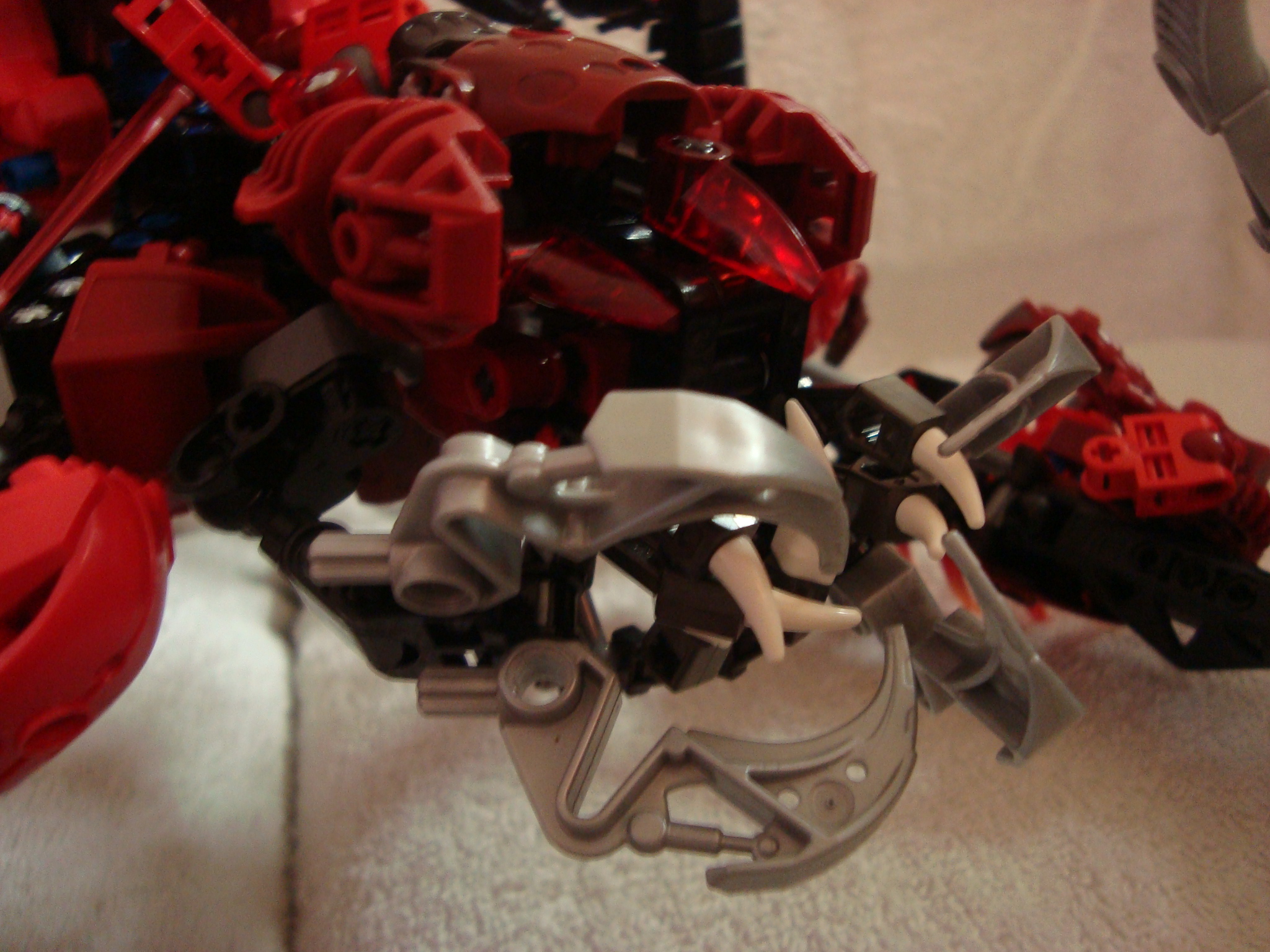 vagmaul_scorpion_004.jpg