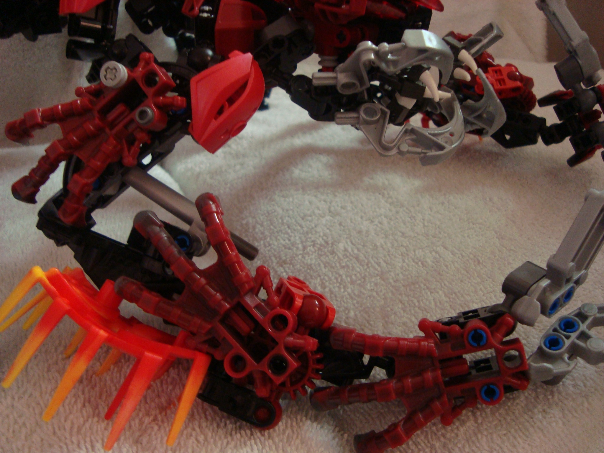 vagmaul_scorpion_009.jpg