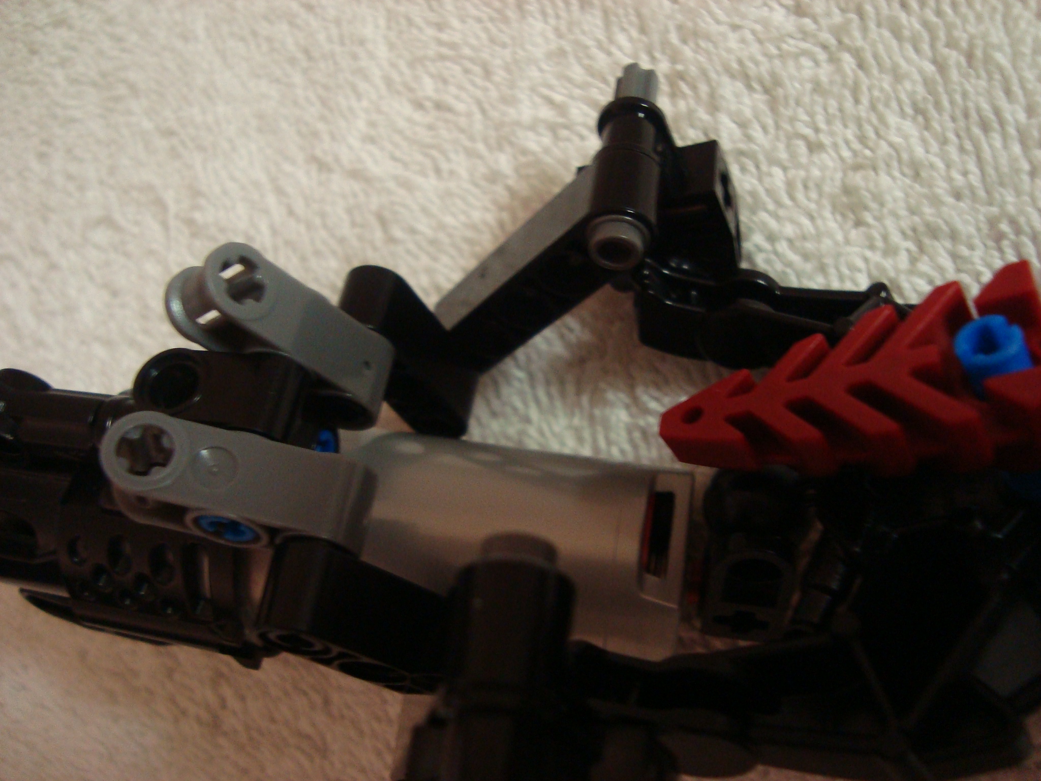 vagmaul_scorpion_014.jpg