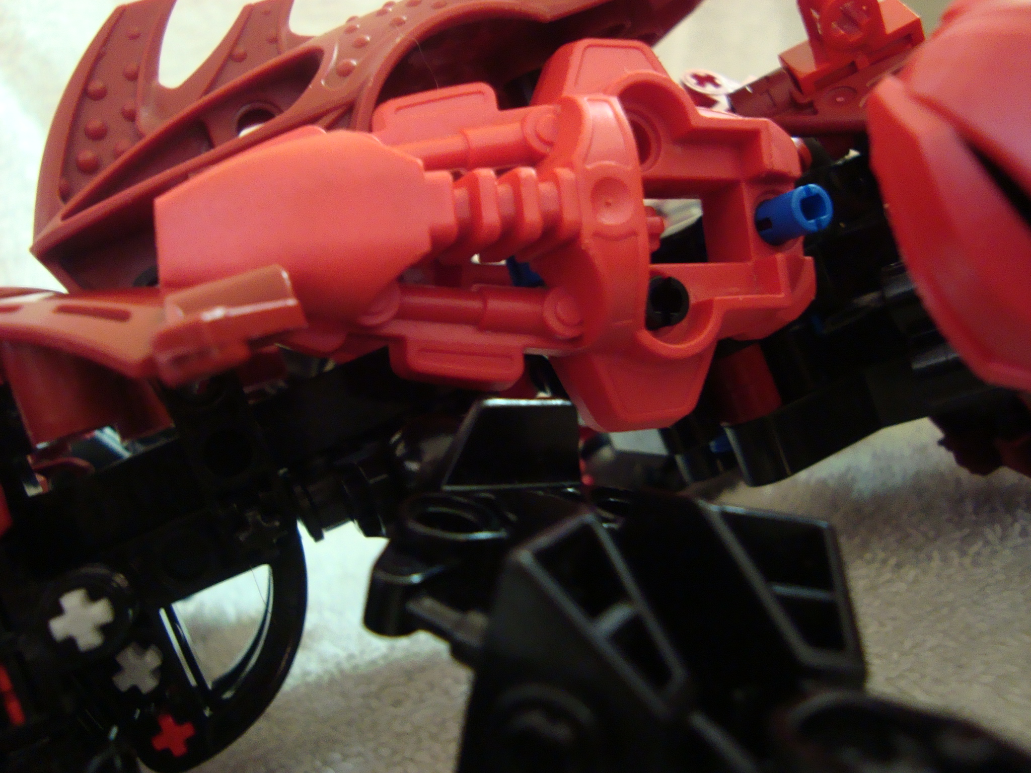 vagmaul_scorpion_017.jpg