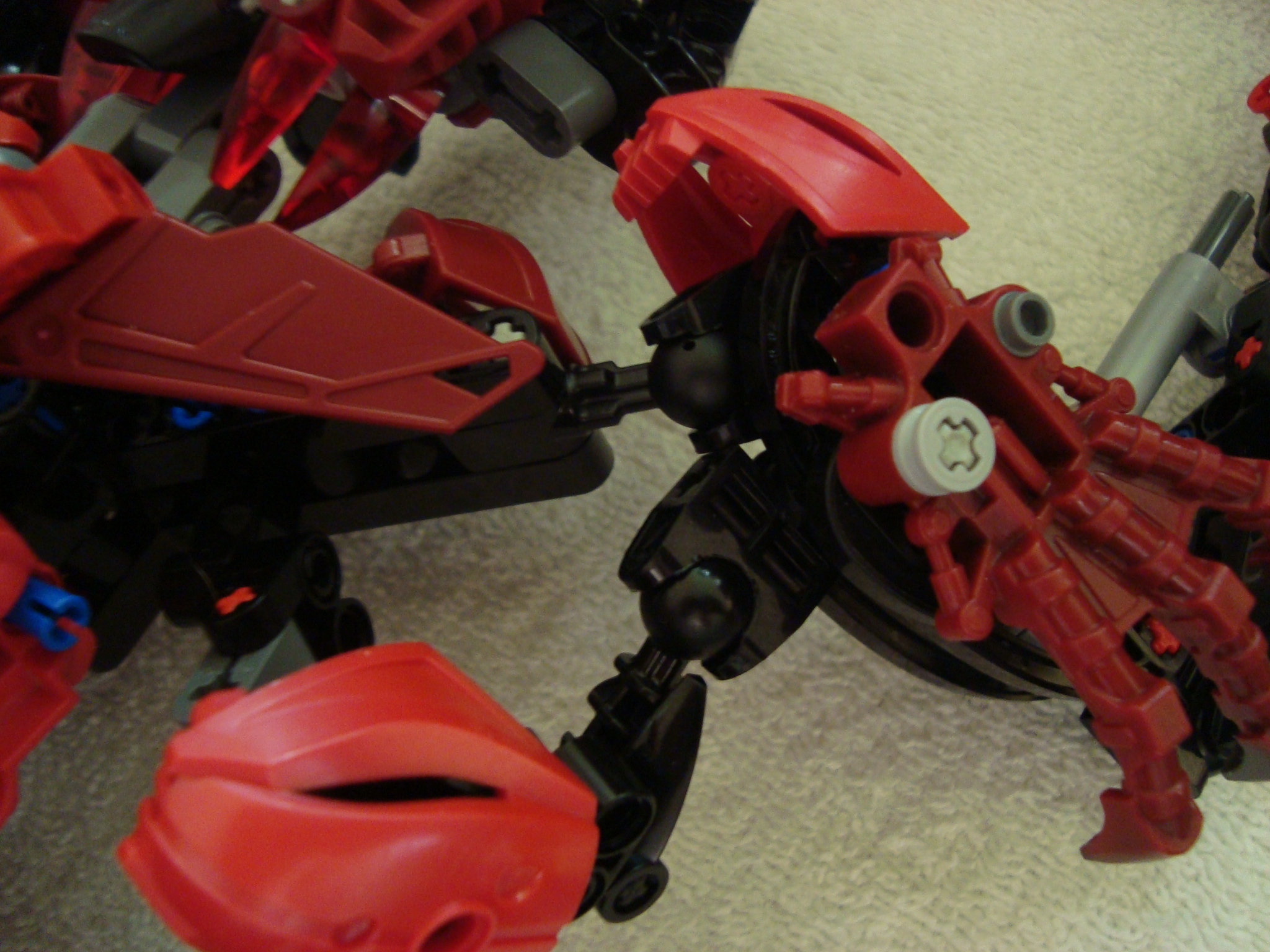 vagmaul_scorpion_018.jpg