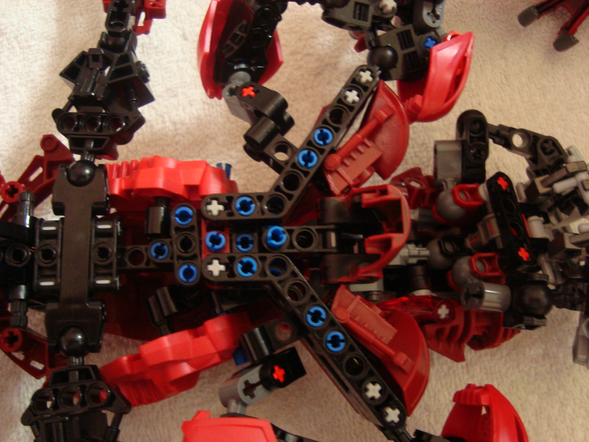 vagmaul_scorpion_021.jpg