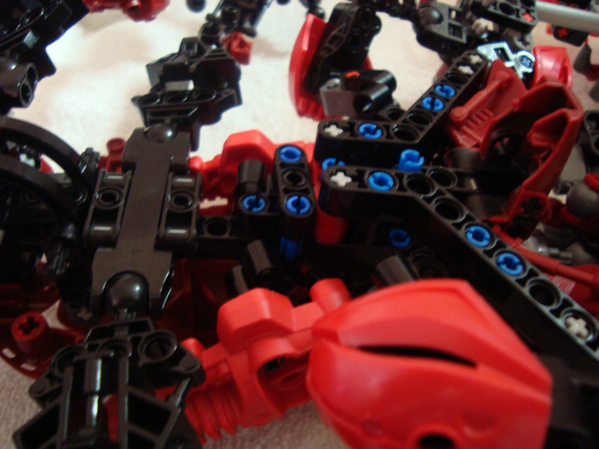 vagmaul_scorpion_022.jpg