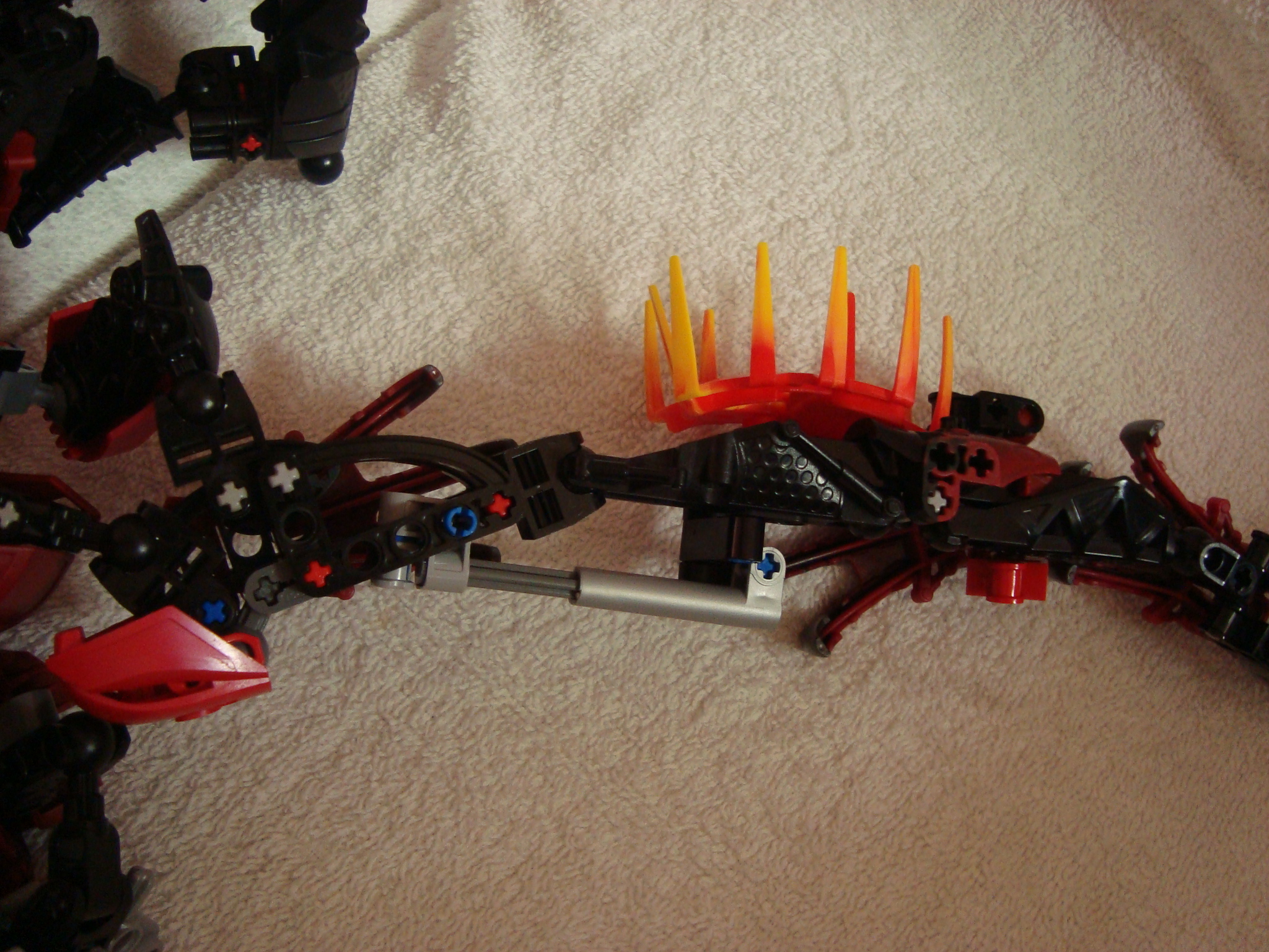 vagmaul_scorpion_024.jpg