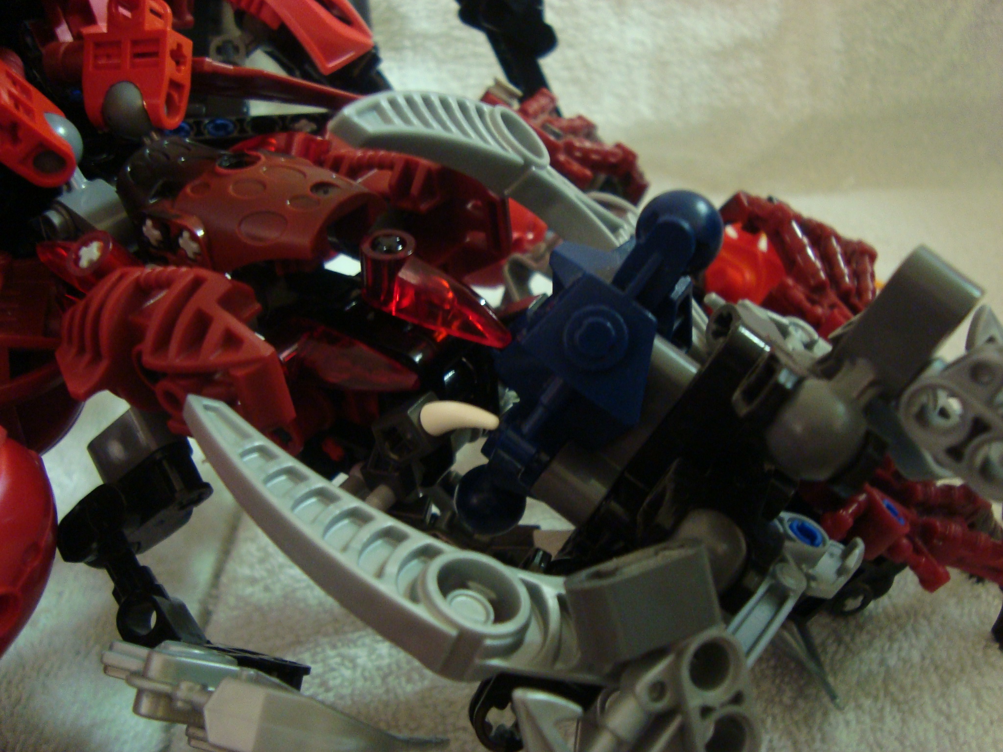 vagmaul_scorpion_028.jpg