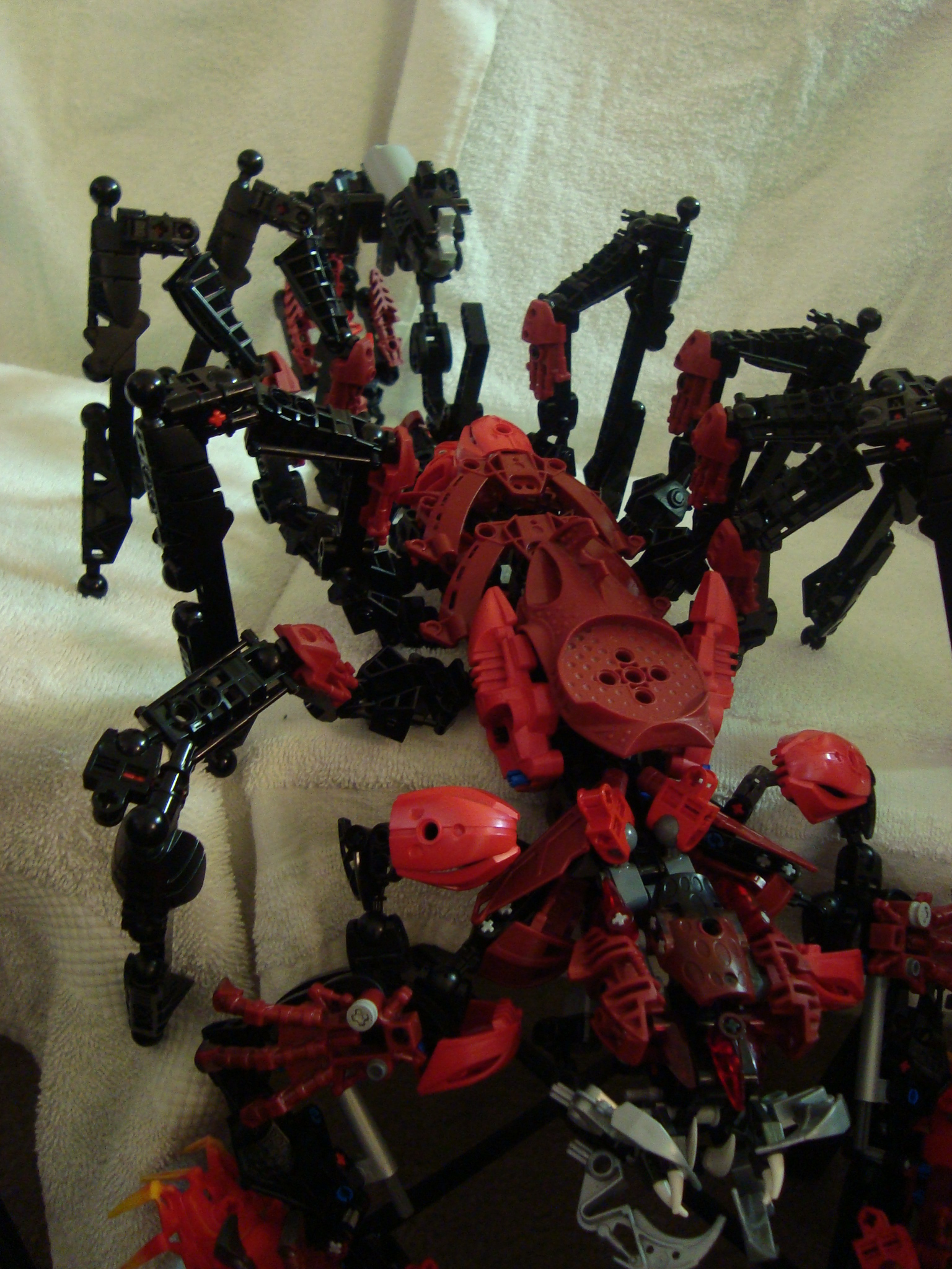 vagmaul_scorpion_031.jpg