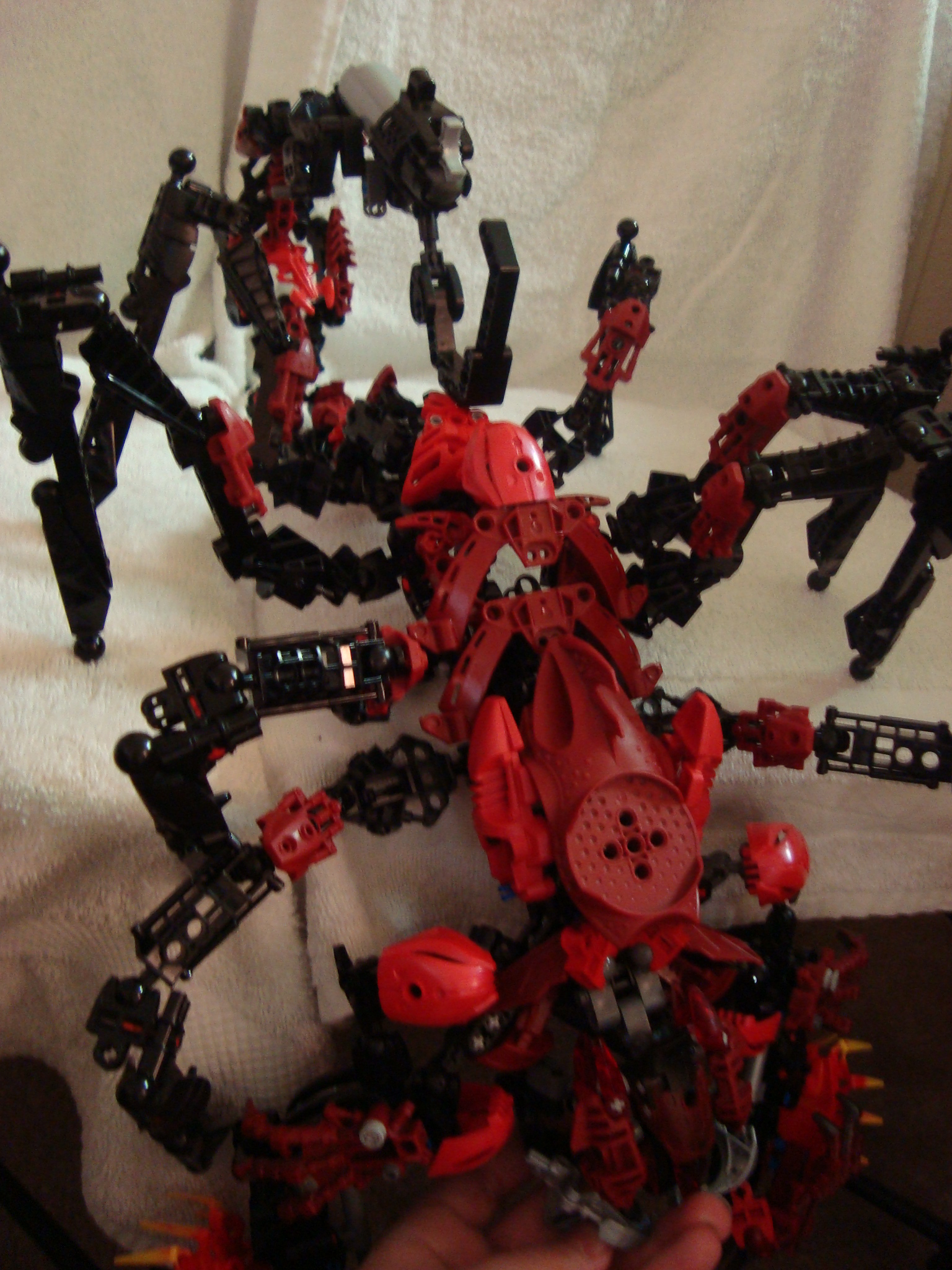 vagmaul_scorpion_032.jpg