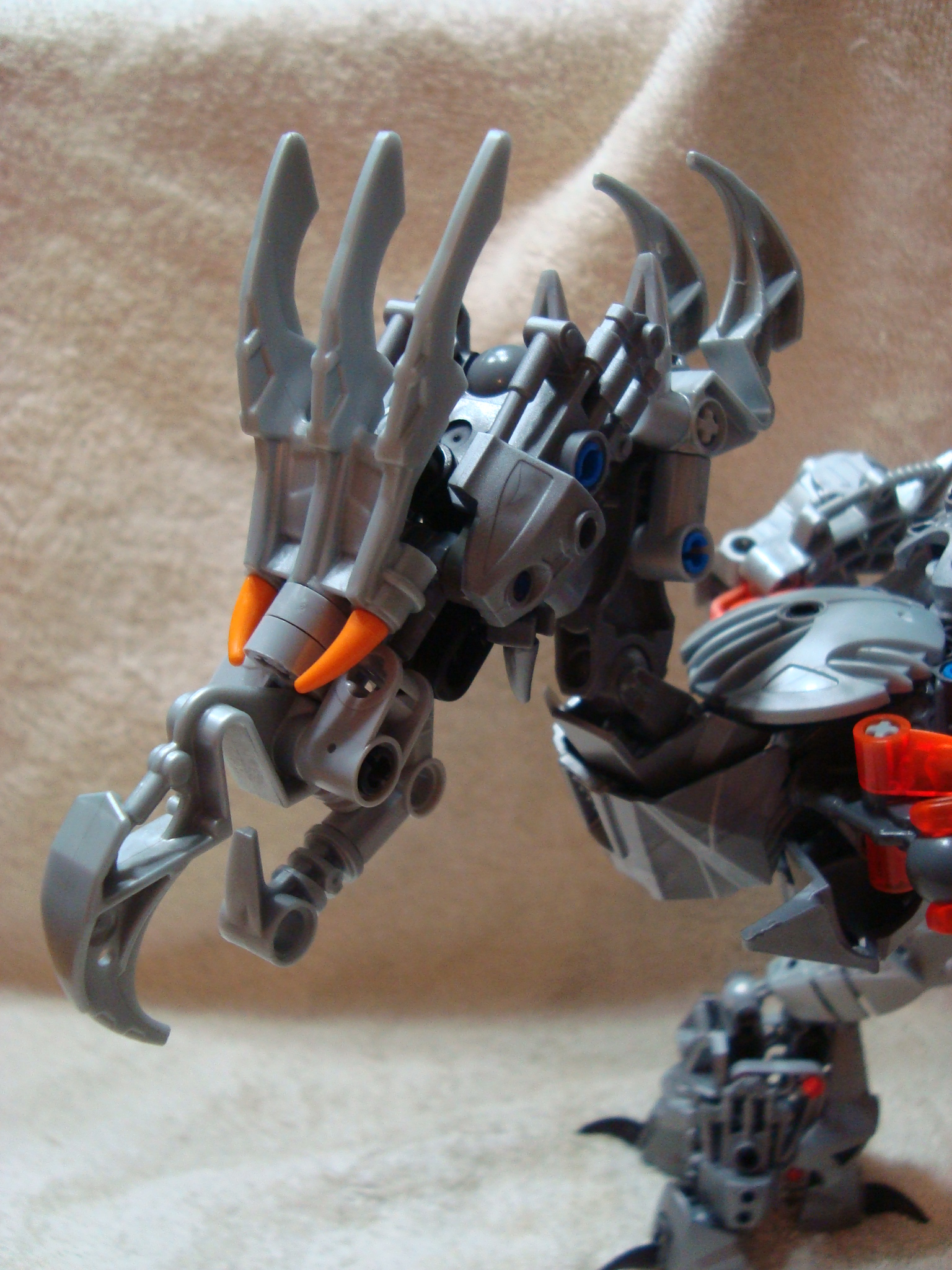 jhintro_bird_001.jpg