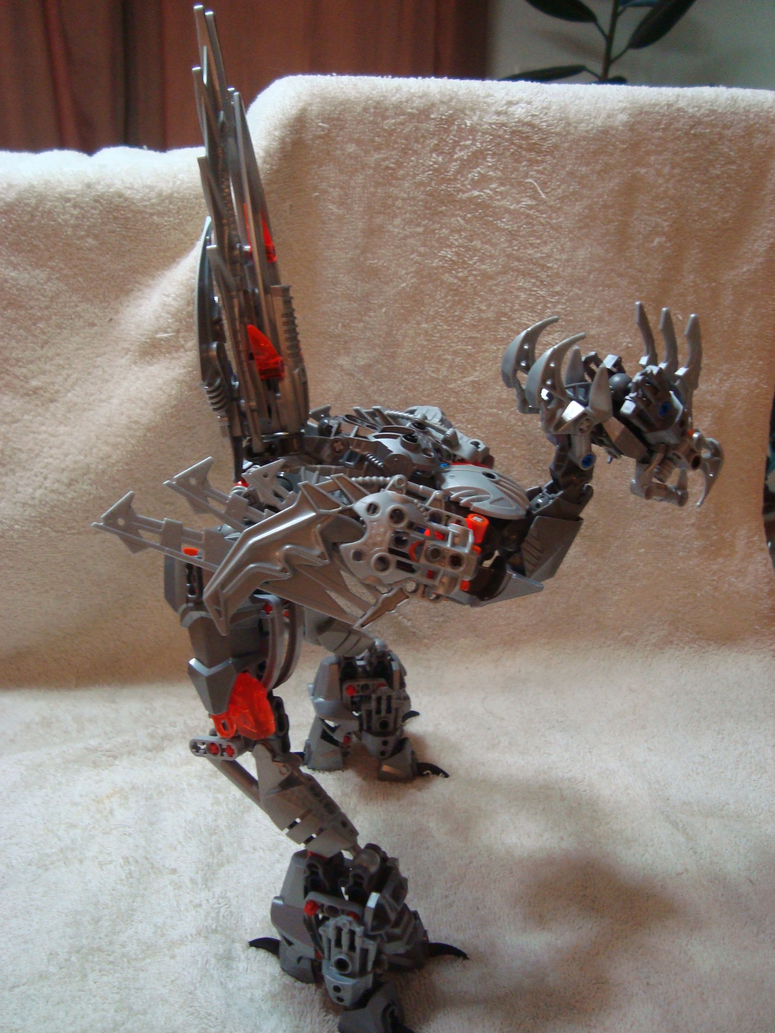 jhintro_bird_004.jpg