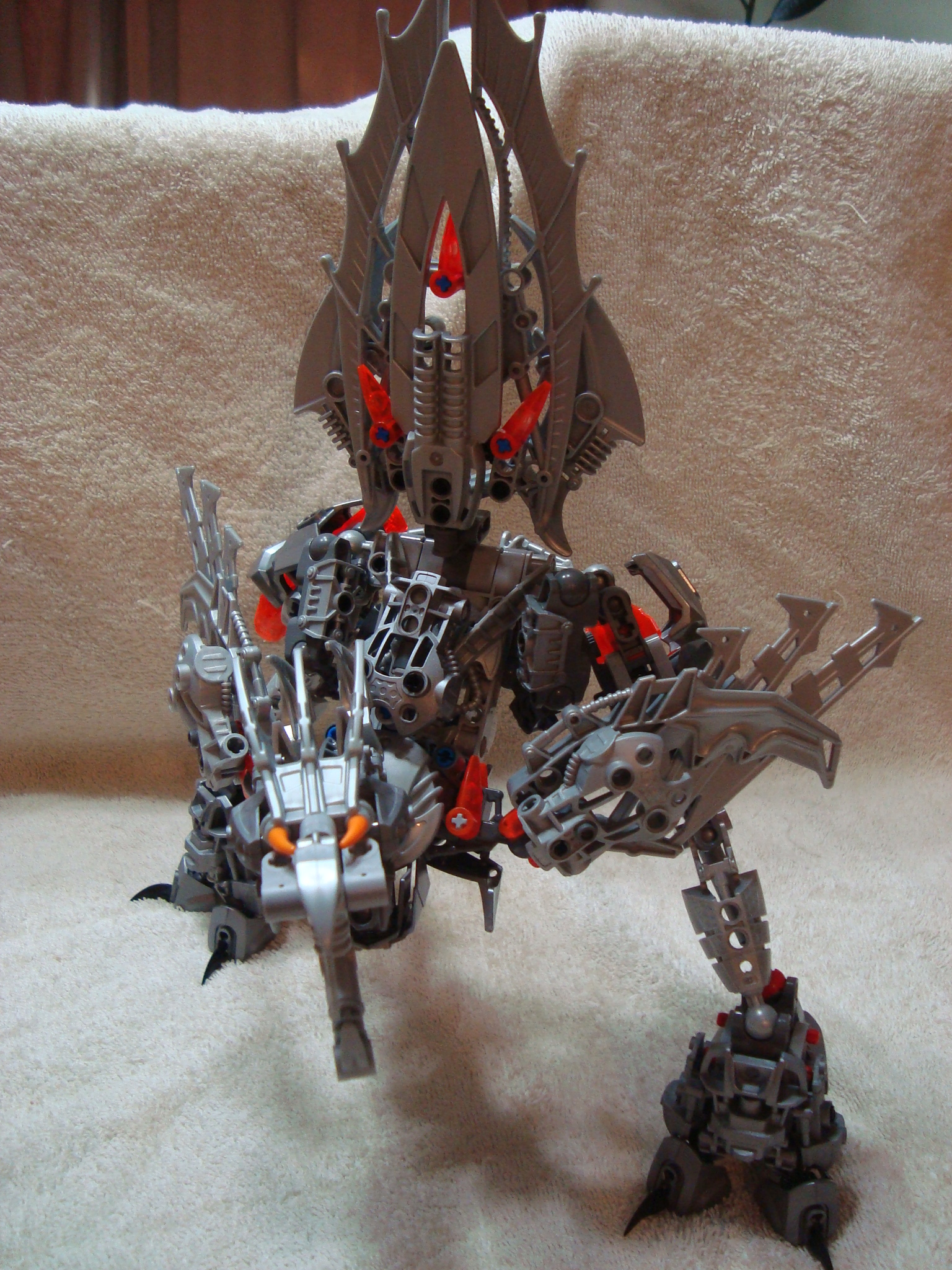jhintro_bird_019.jpg