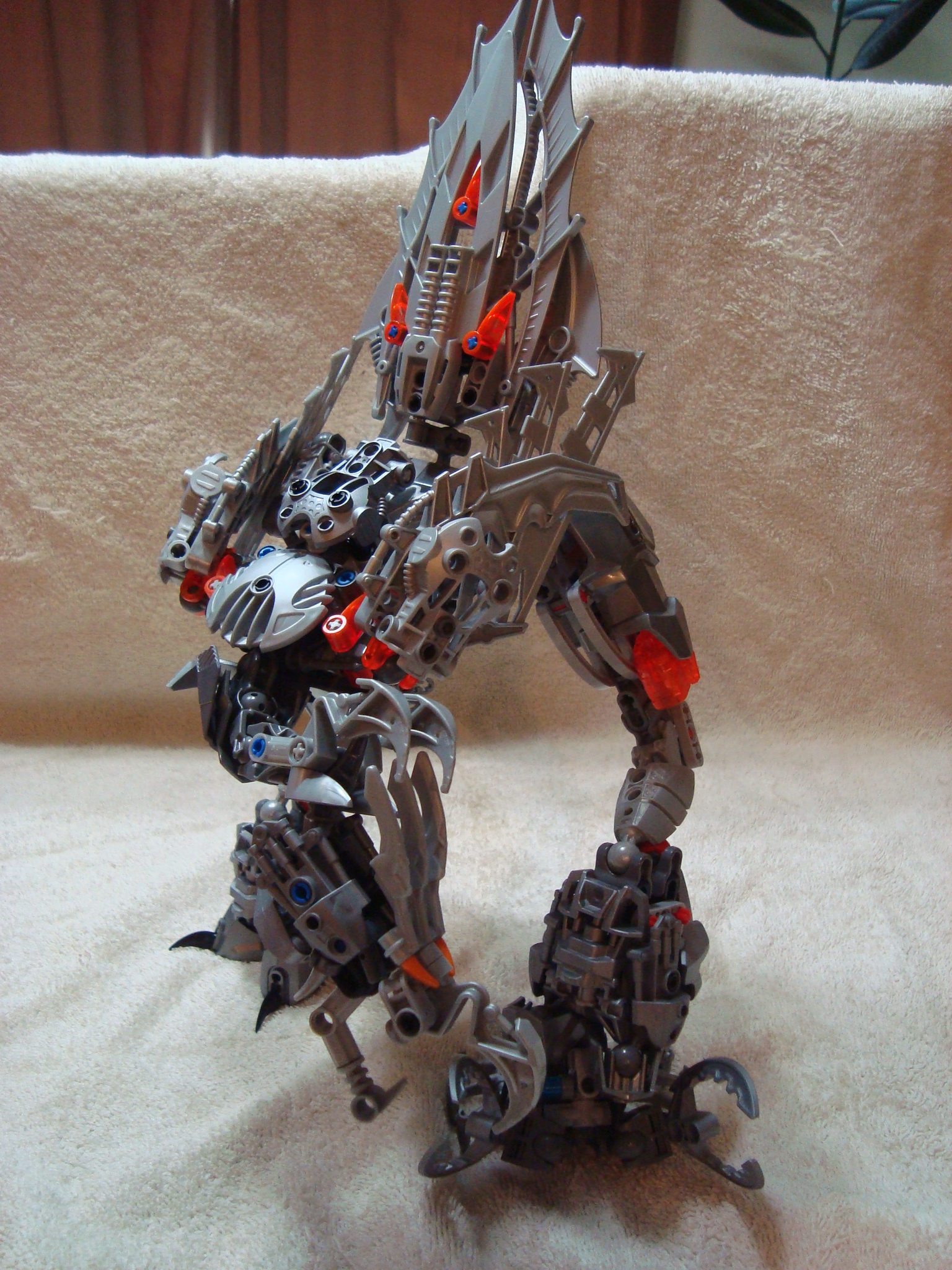 jhintro_bird_021.jpg