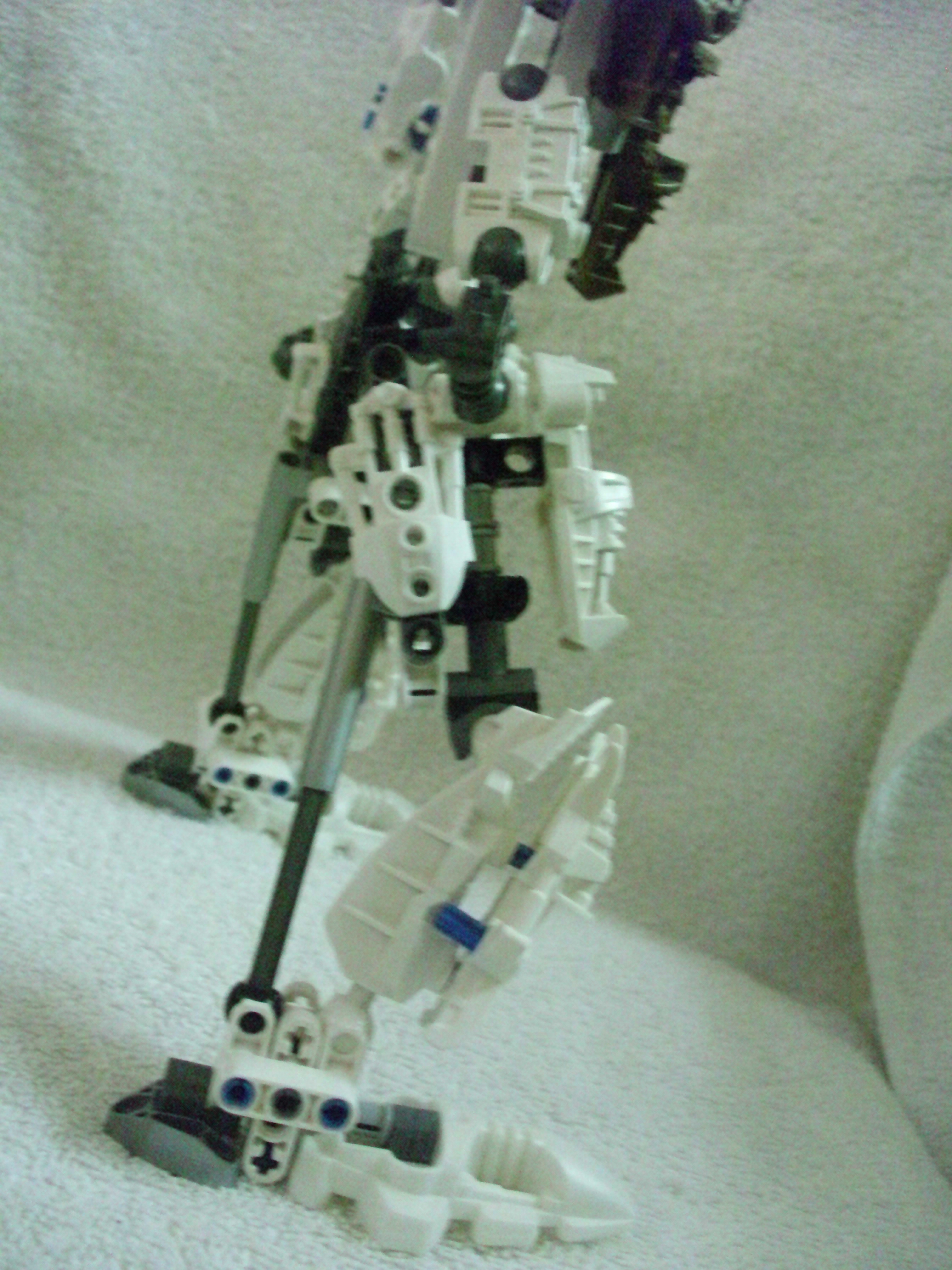 alt_teridax_009.jpg