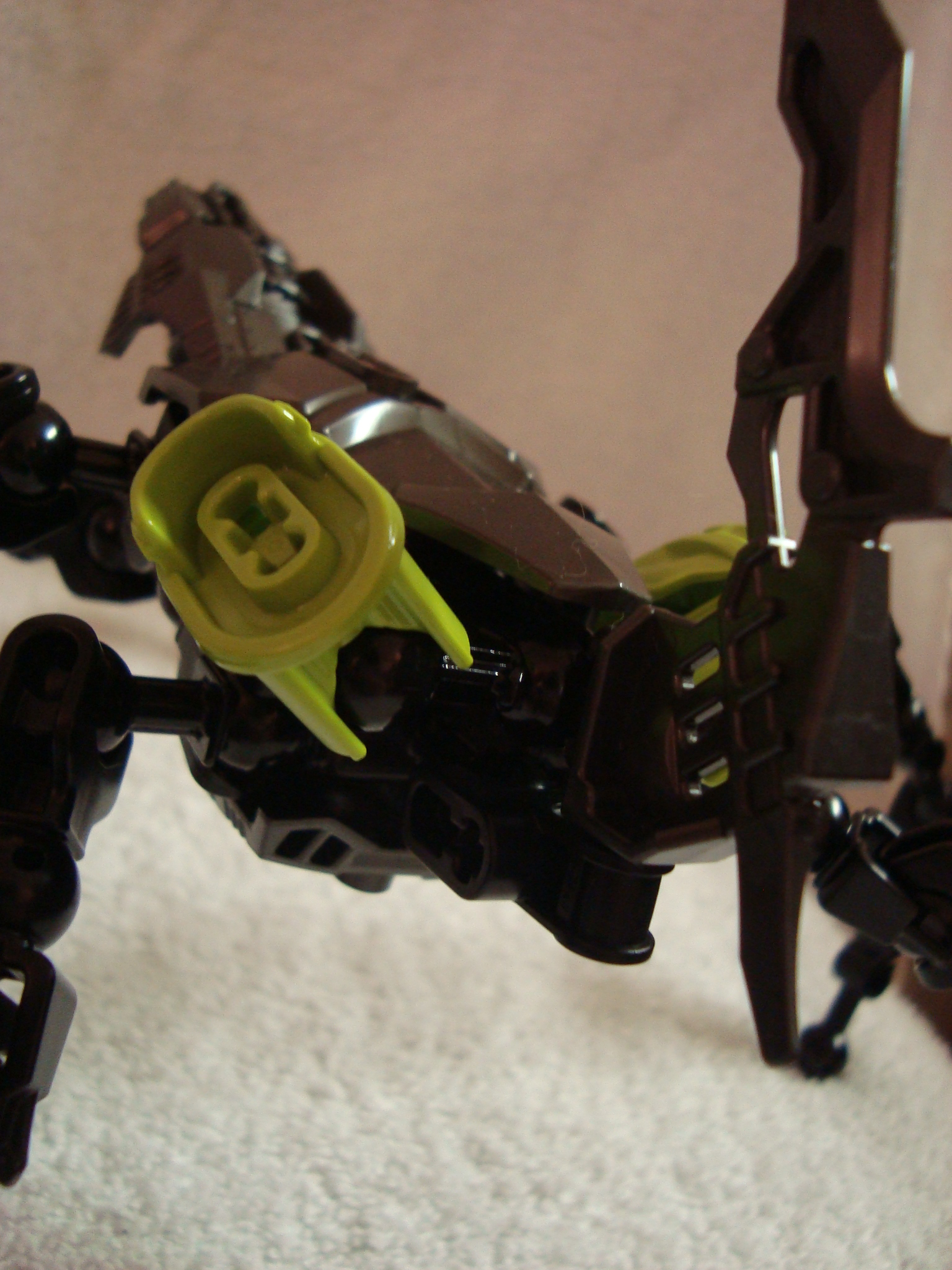 devic_beetle_007.jpg