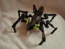 devic_beetle_001.jpg
