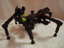devic_beetle_002.jpg