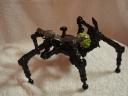 devic_beetle_004.jpg