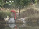 legoland_027.jpg
