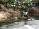 legoland_042.jpg