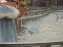 legoland_096.jpg
