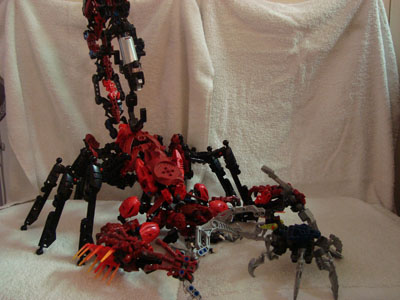 vagmaul_scorpion_026_mini.jpg