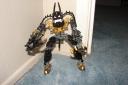 dsc01726.jpg