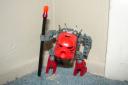 dsc01732.jpg