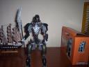 gorohk_001.jpg