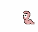 worms_gif.gif