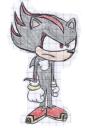 shadow_the_hedgehog.jpg