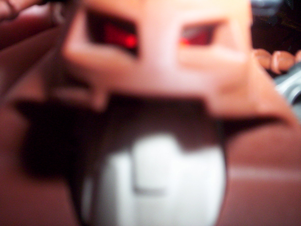 fotos_002.jpg
