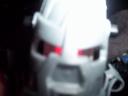 fotos_005.jpg