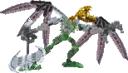 Raptors