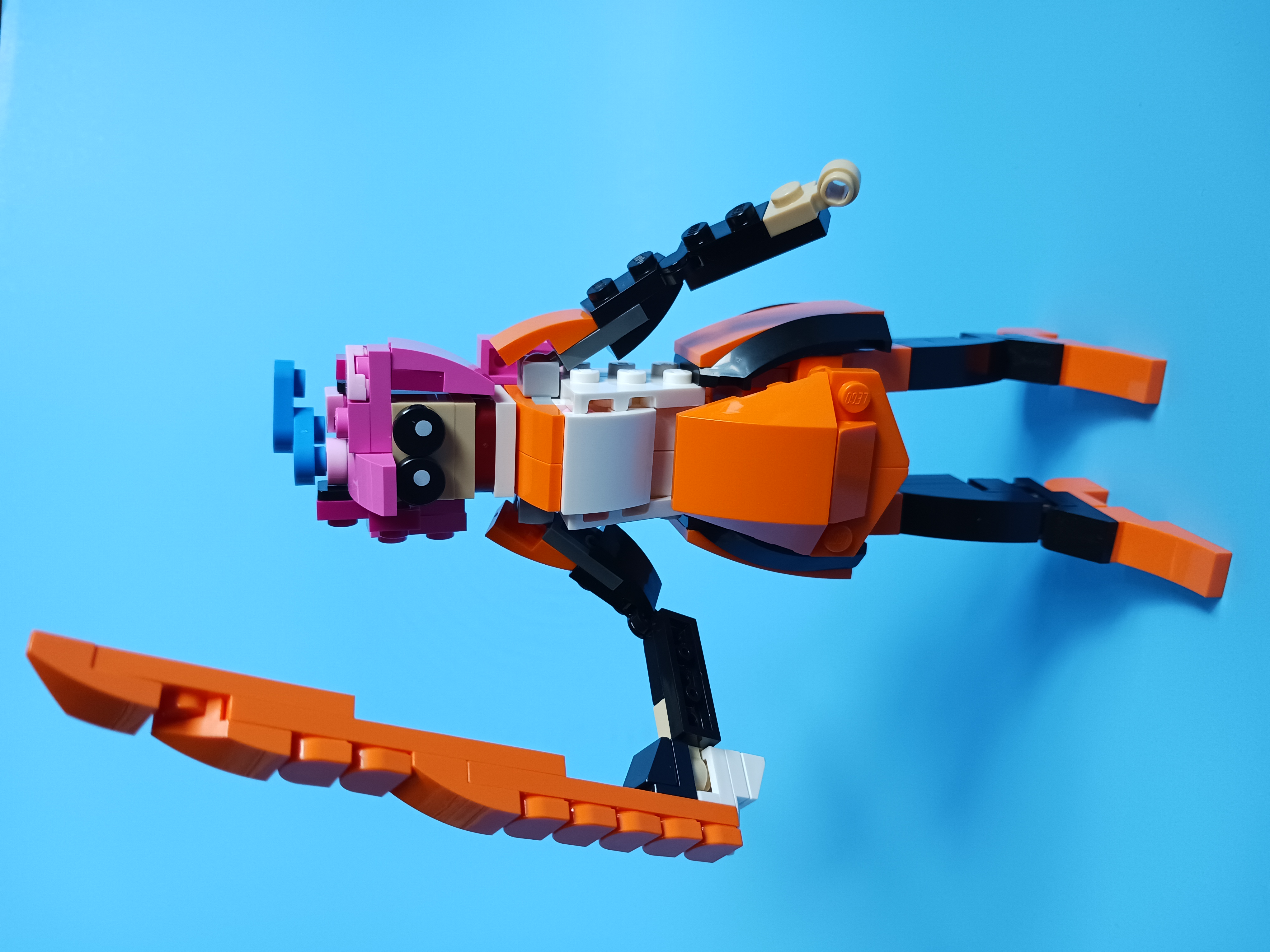 20230419_150007.jpg
