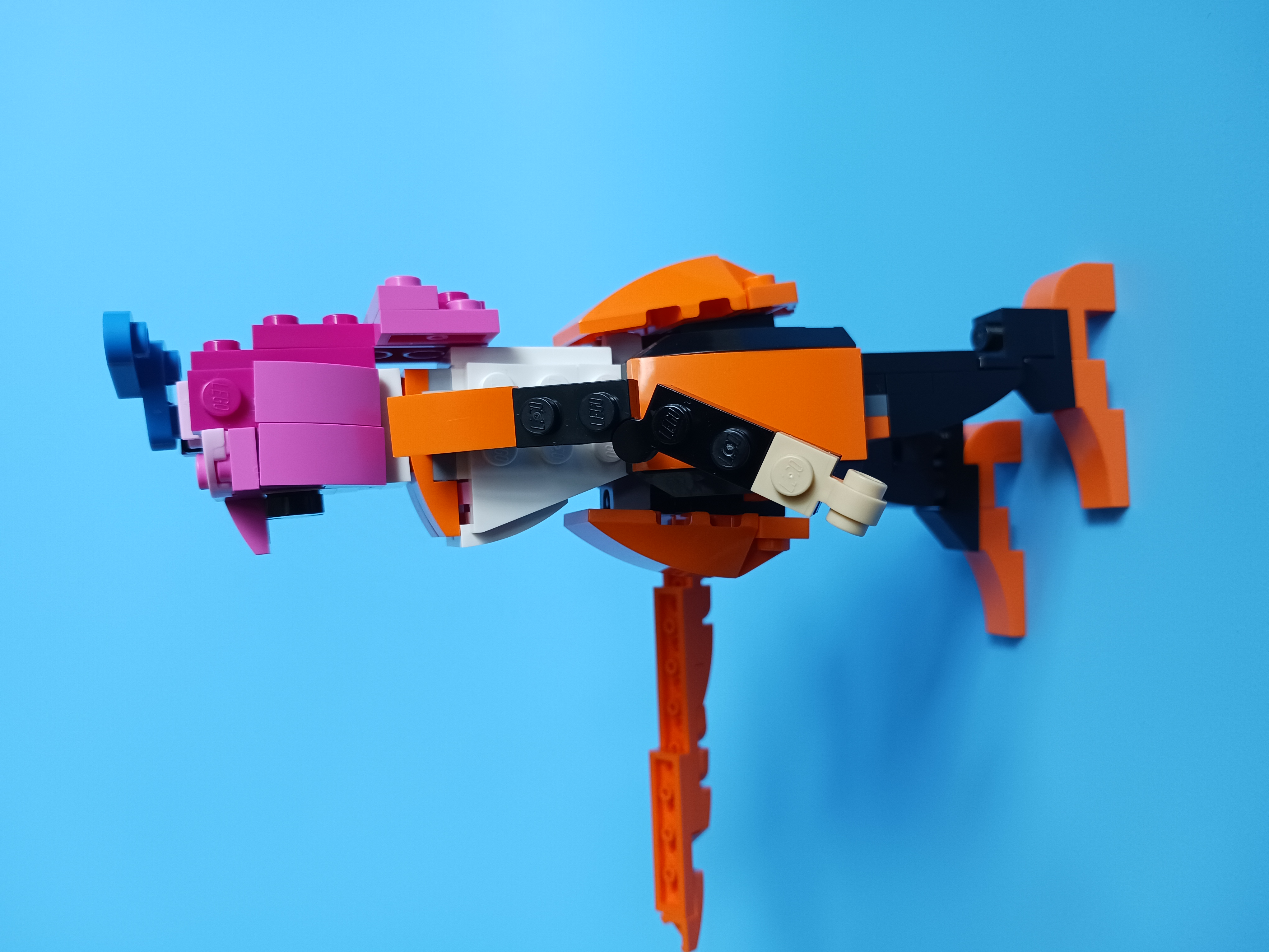 20230419_150046.jpg