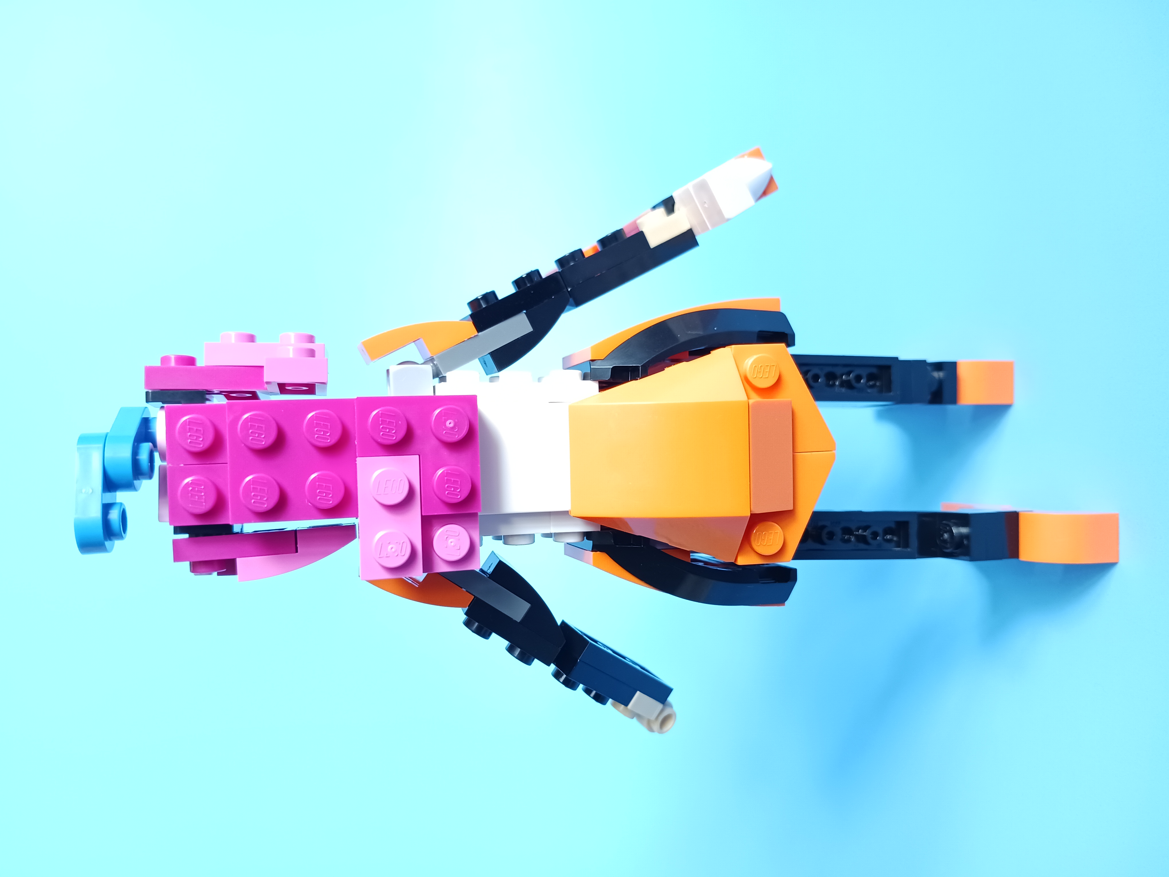 20230419_150211.jpg
