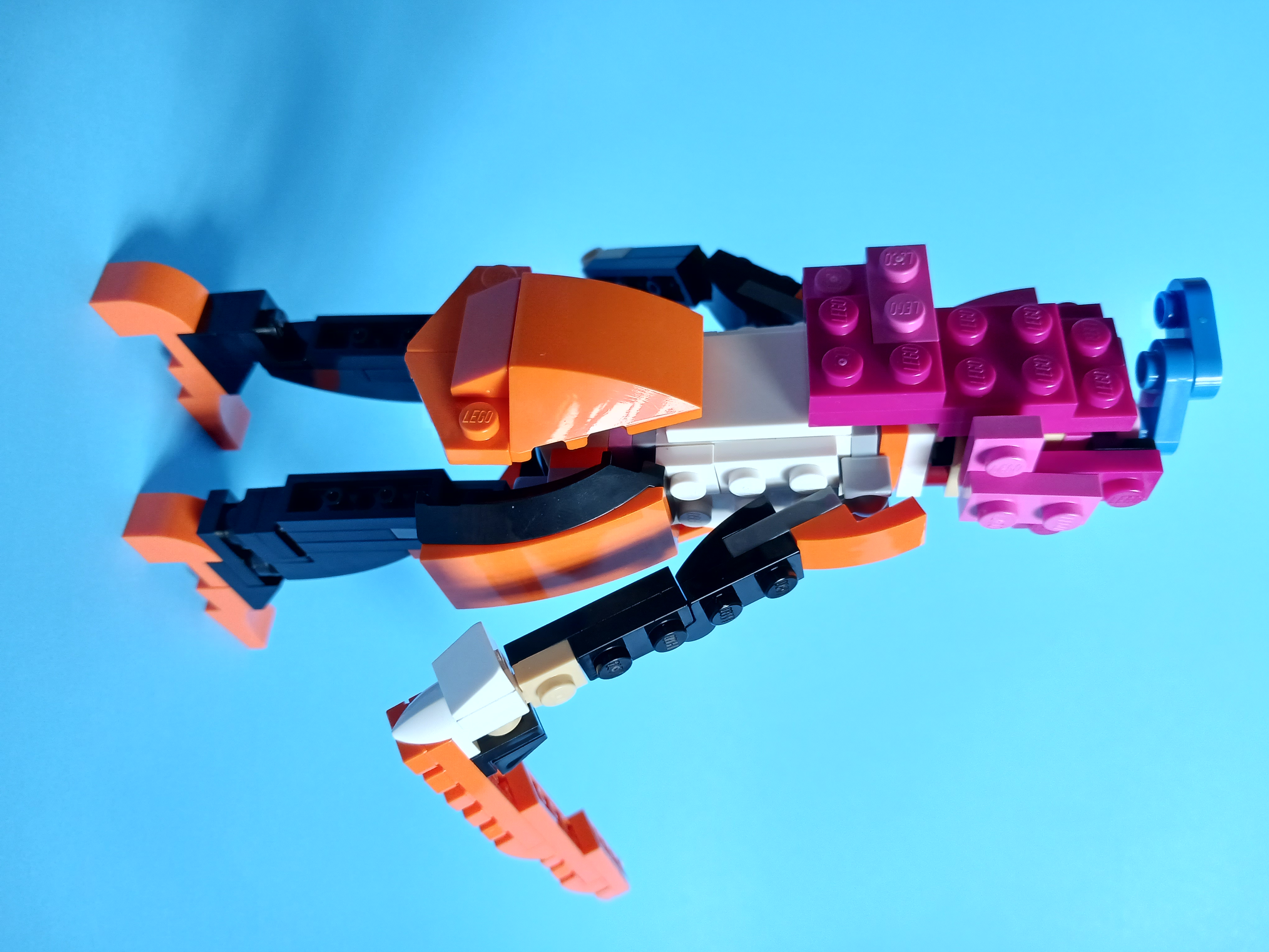 20230419_150324.jpg