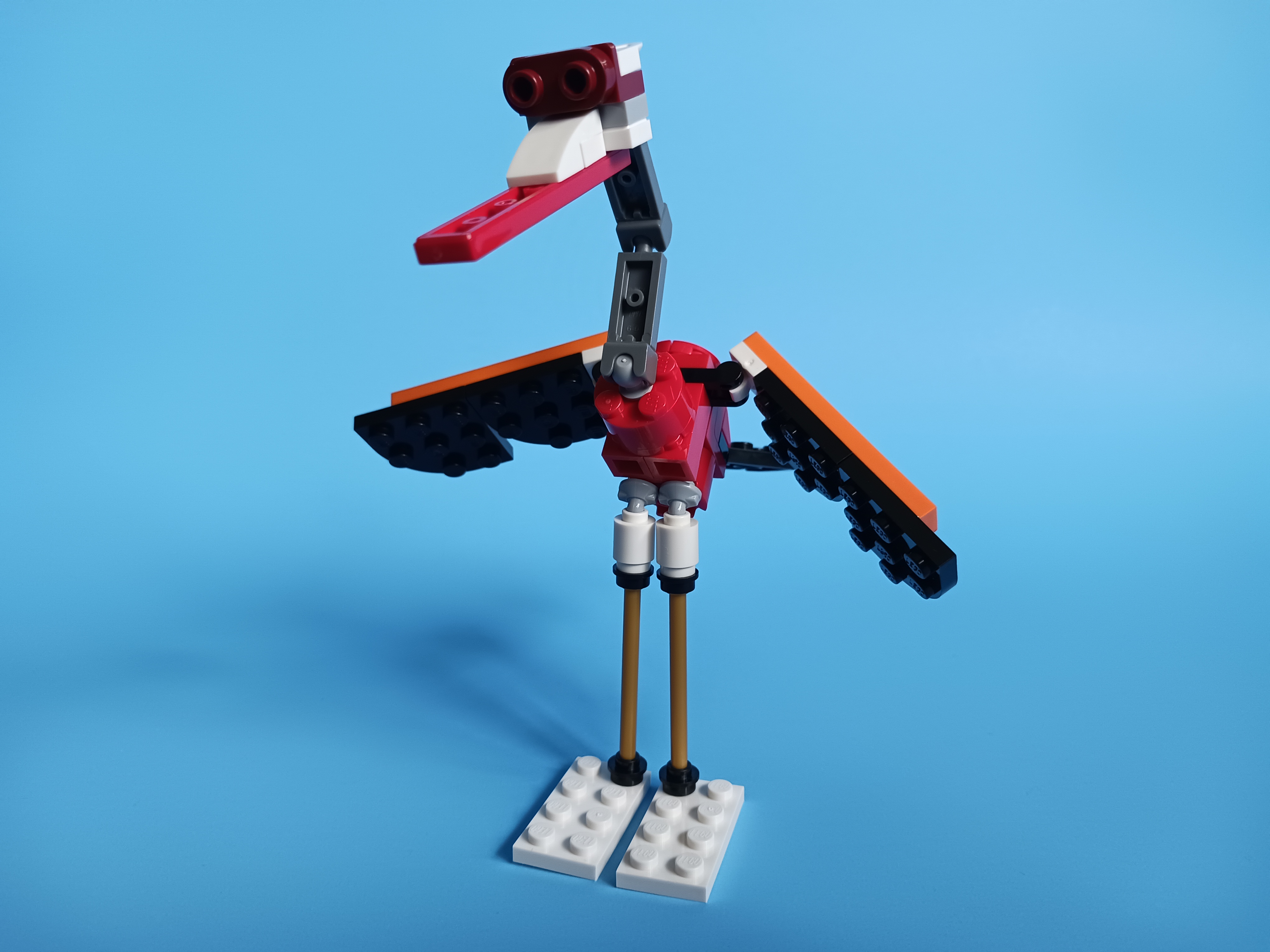 20230419_150428.jpg