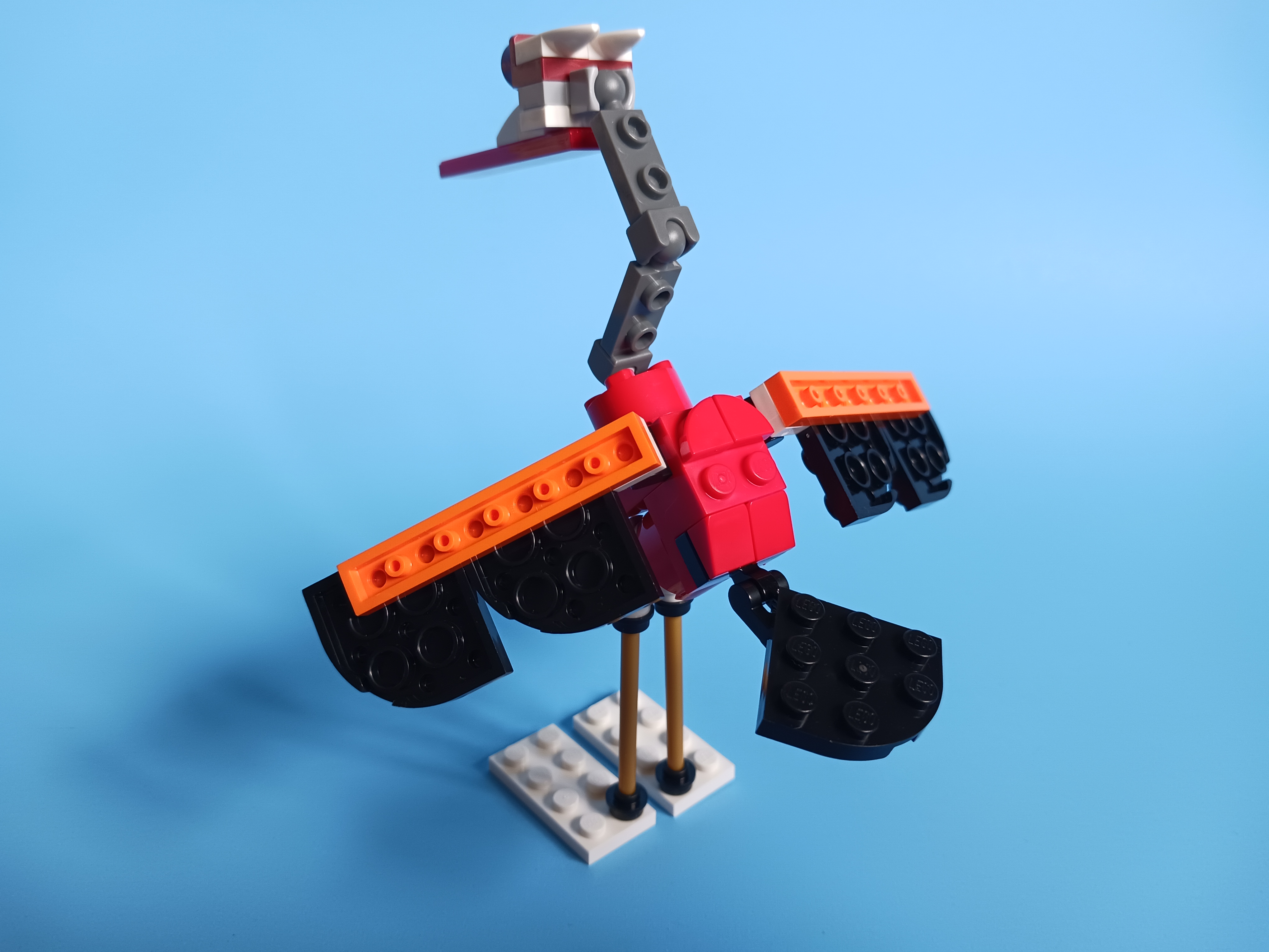 20230419_150450.jpg