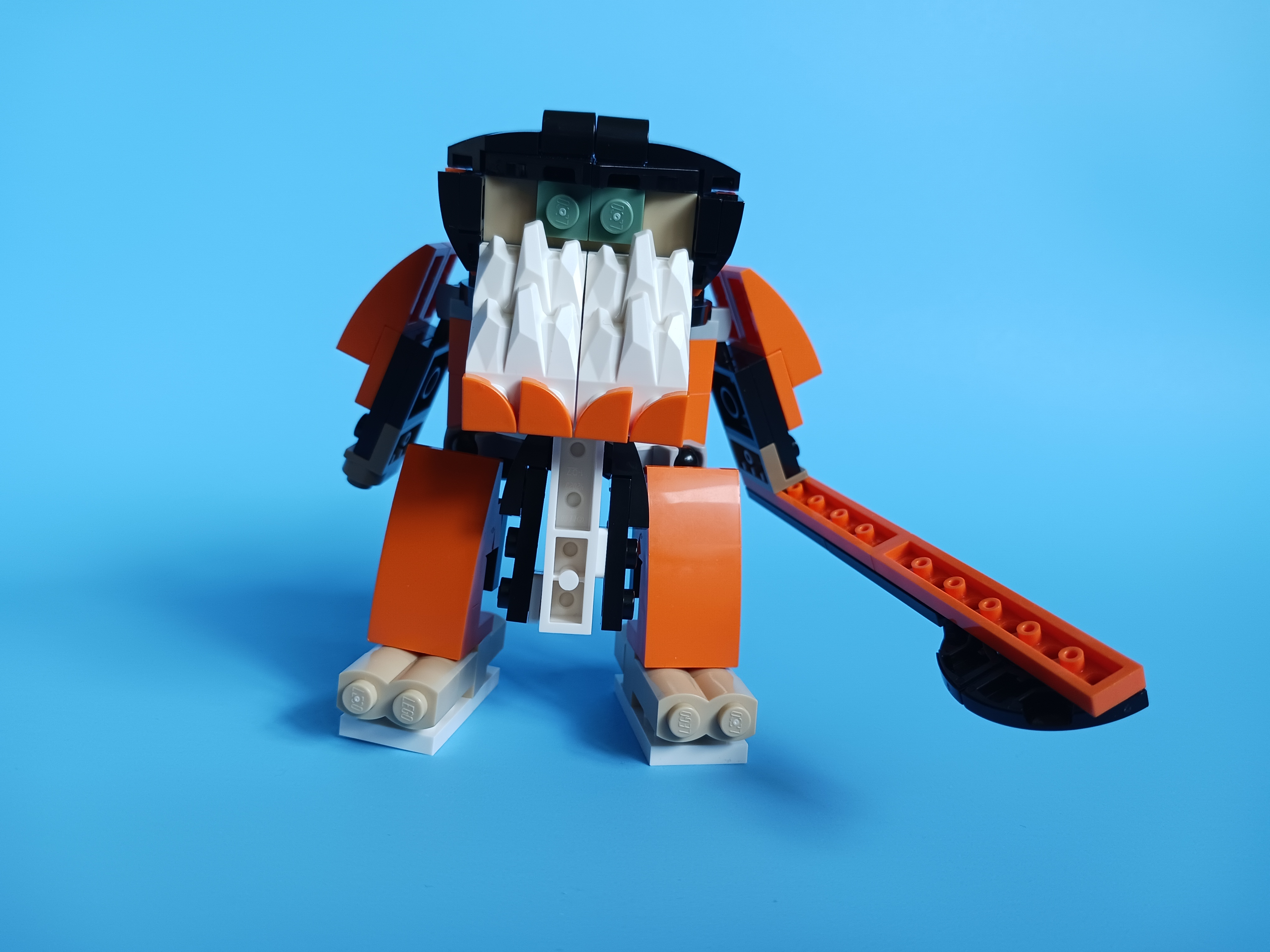 20230419_151827.jpg