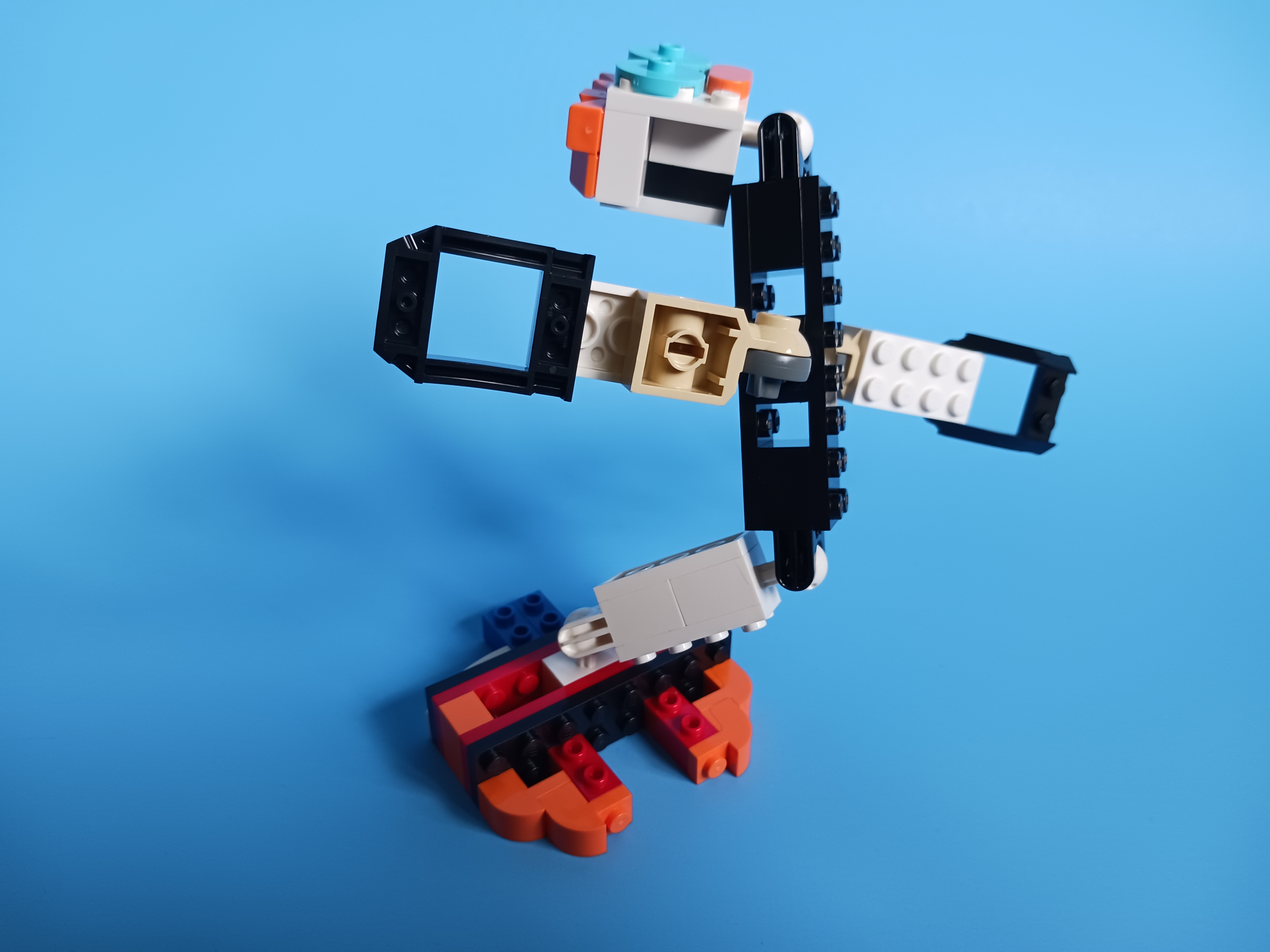 20230419_152415.jpg