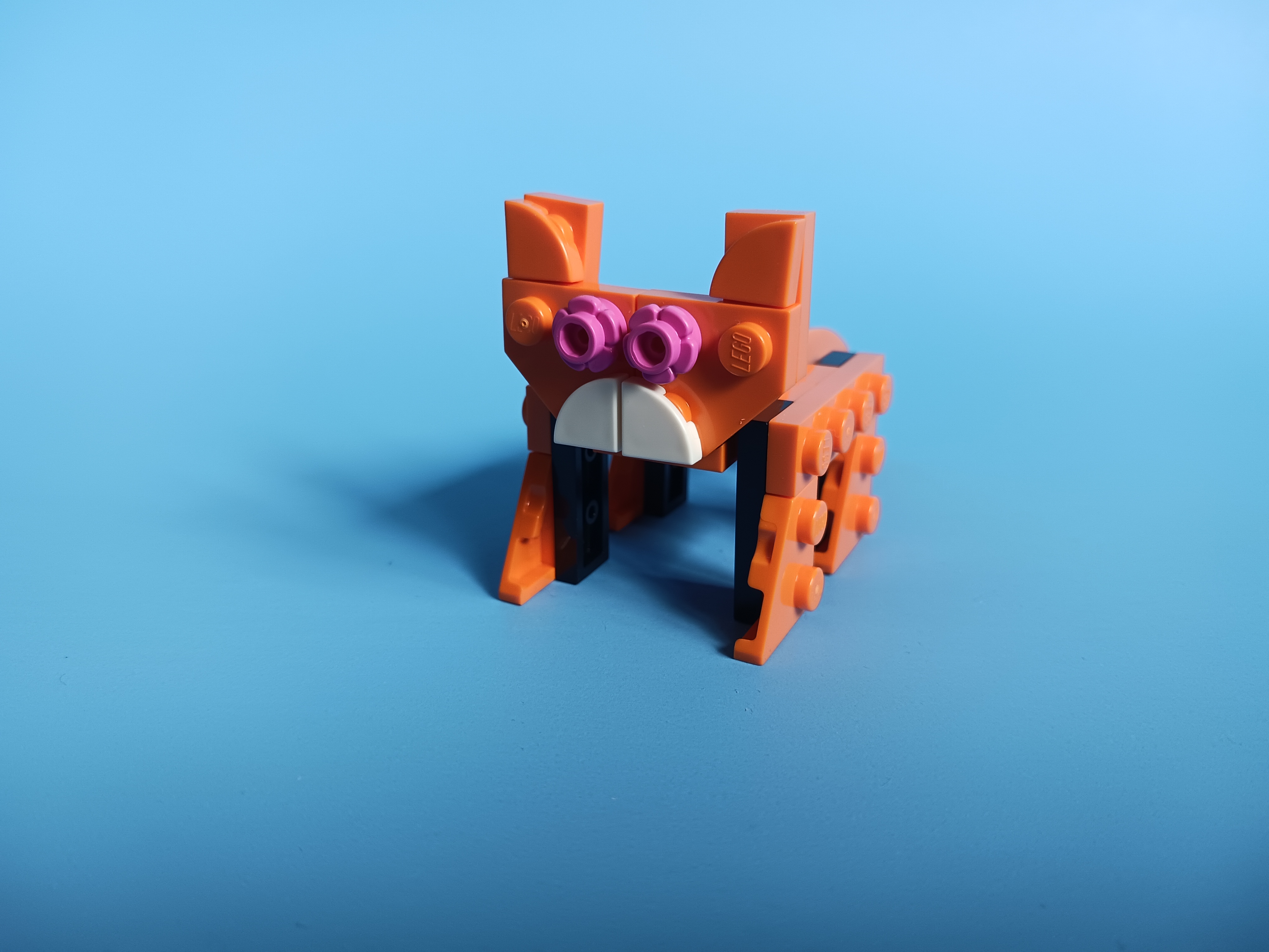 20230419_152435.jpg