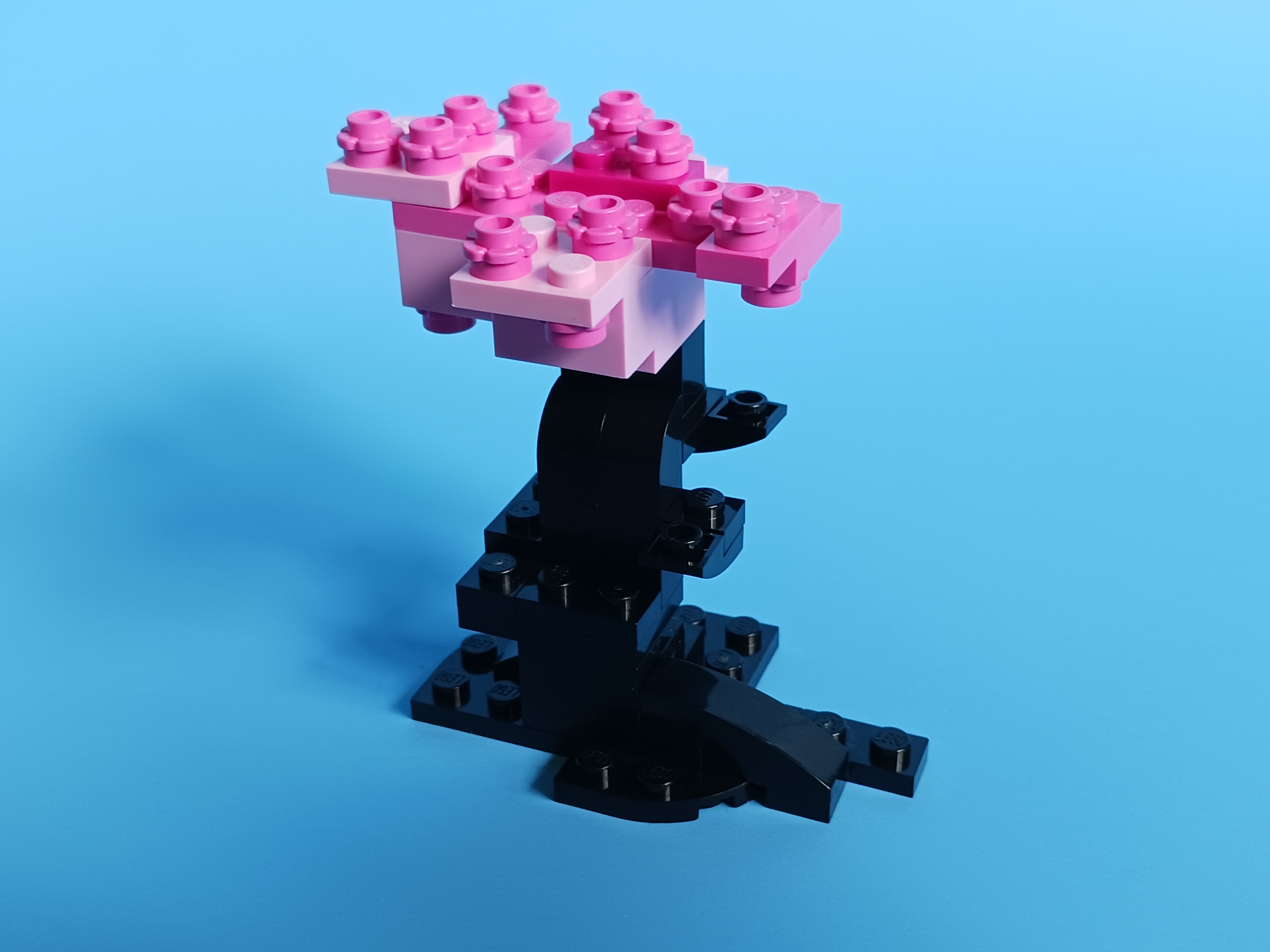 20230419_152542.jpg
