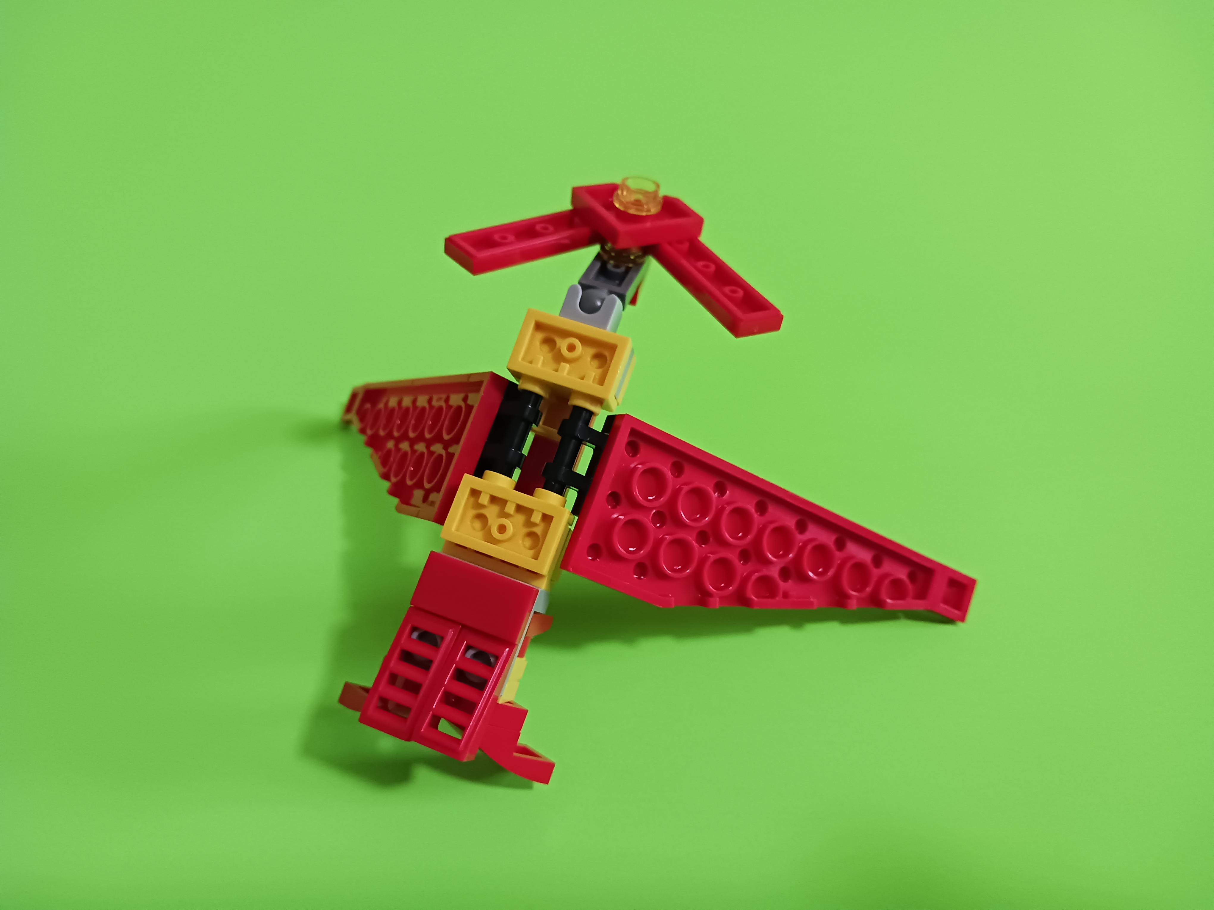 20230514_125218.jpg