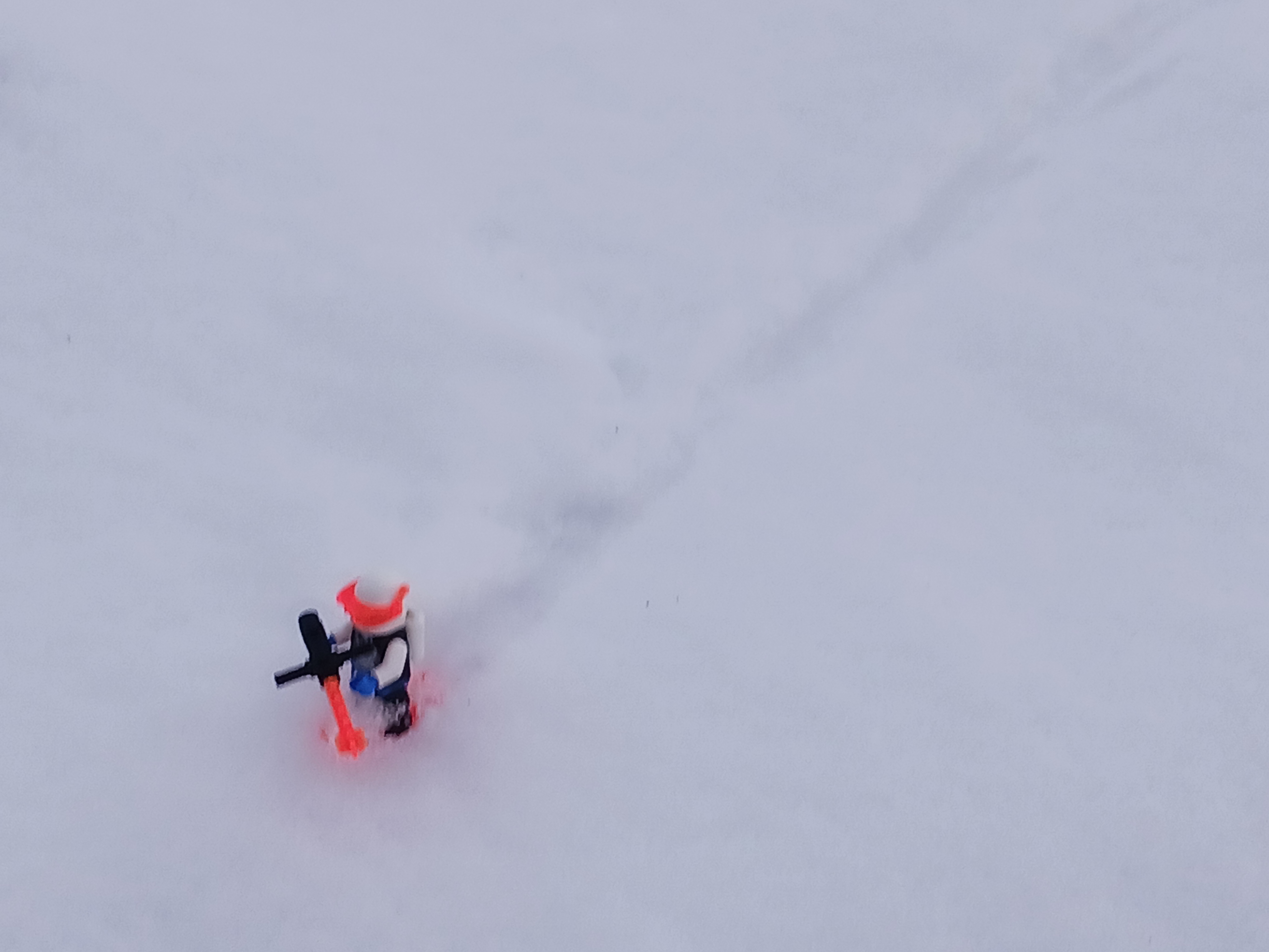 20231130_080344.jpg