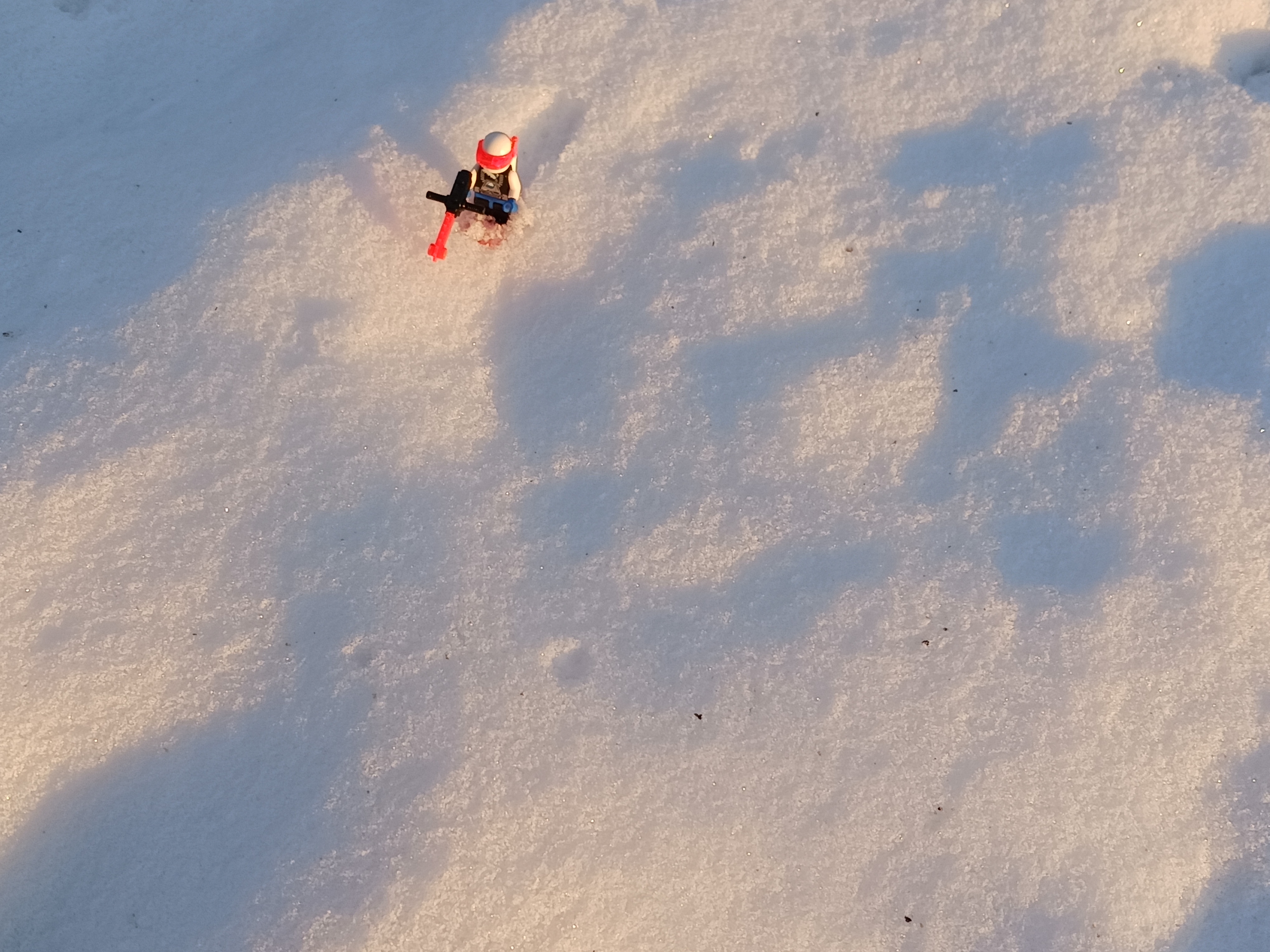 20231130_081359.jpg
