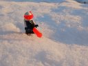 20231130_081243.jpg