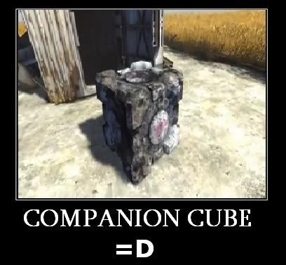 companioncubedemotivational.jpg