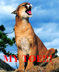 couger_my_toa.bmp