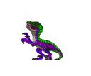 raptor_headbang.gif