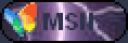 msn.png